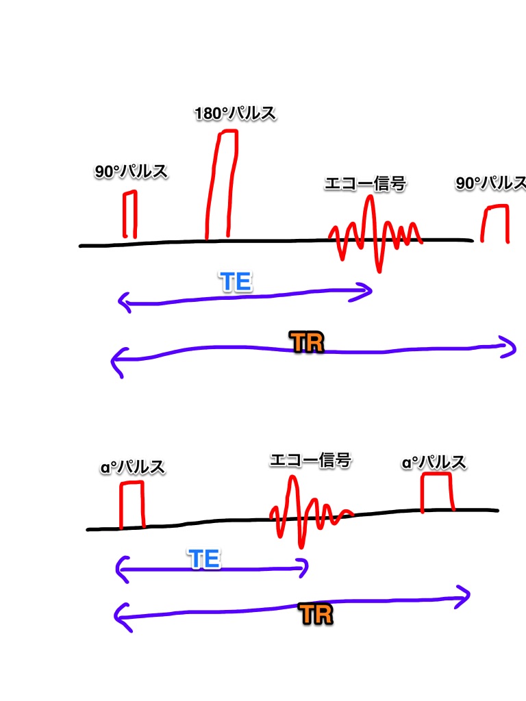 全面解析Grammarly教程：提升写作水平的必备工具 (全面解析哥斯拉)